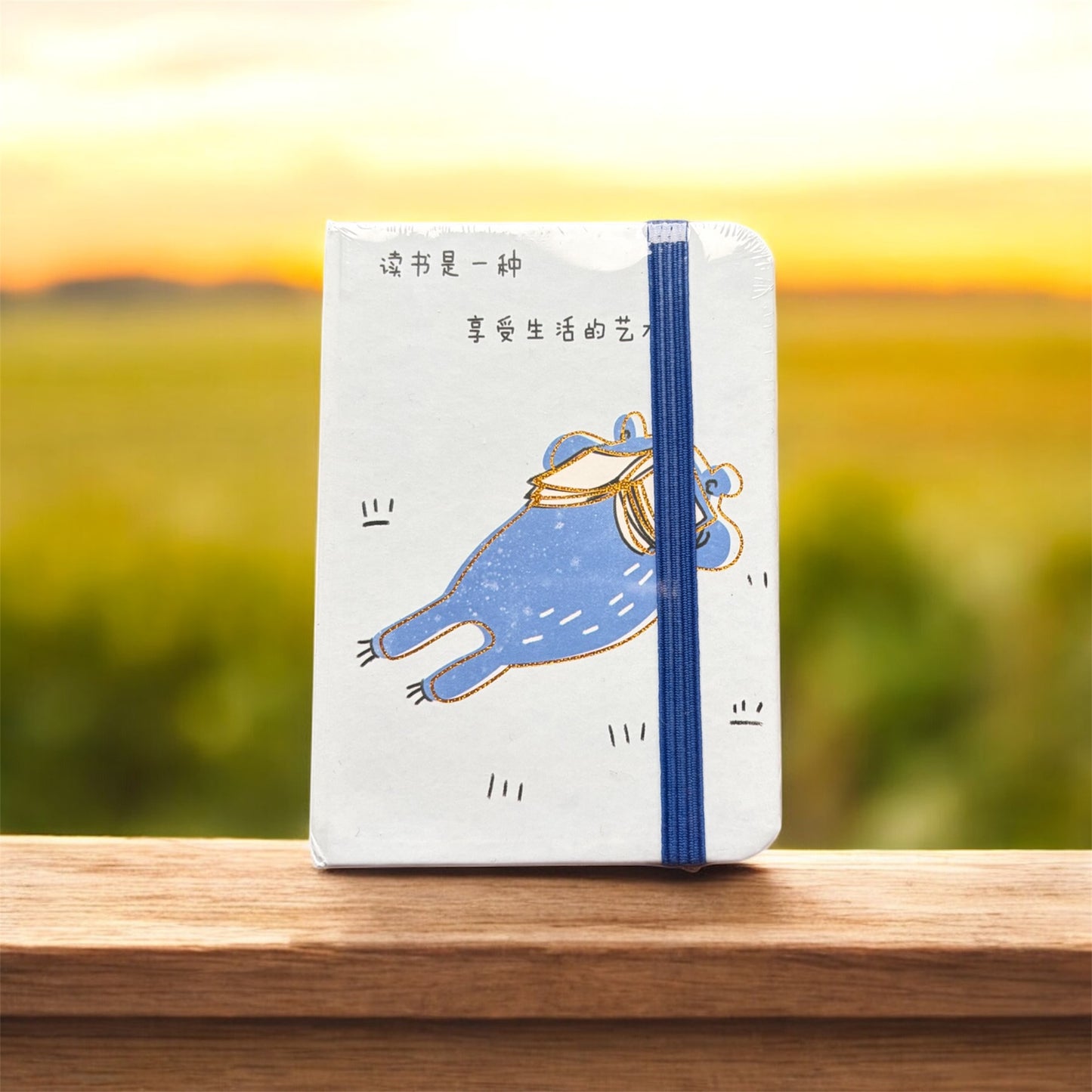 Cute Cartoon Notebooks