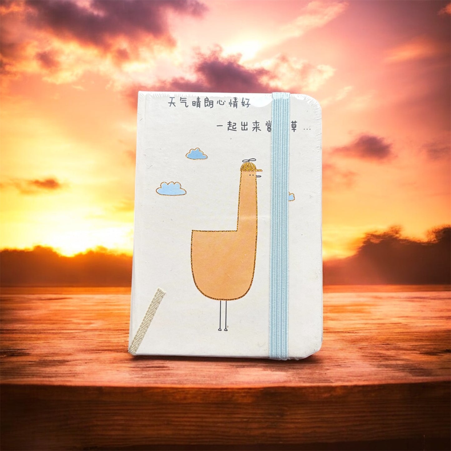 Cute Cartoon Notebooks